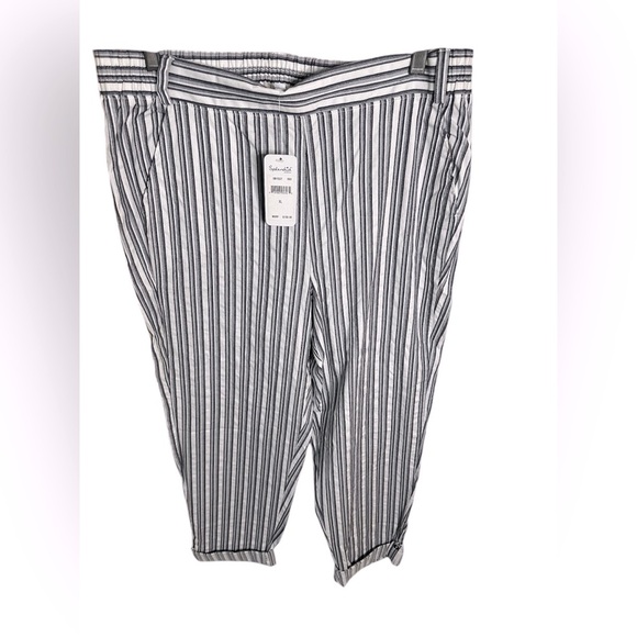 NWT-Splendid Navy Pinstripe Pants XL - Picture 7 of 10